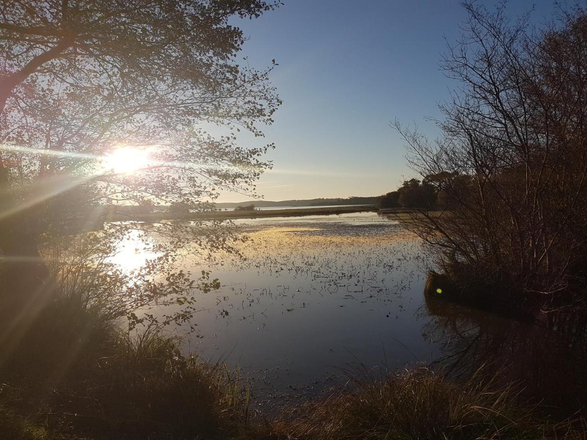 Les Terrasses Du Lac Piscine Et Vue Lac A4 Aureilhan  Luaran gambar
